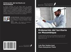 Ordenación del territorio en Mozambique kitap kapağı