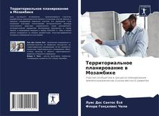 Bookcover of Территориальное планирование в Мозамбике