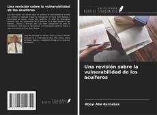 Bookcover of Una revisión sobre la vulnerabilidad de los acuíferos