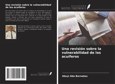 Copertina di Una revisión sobre la vulnerabilidad de los acuíferos