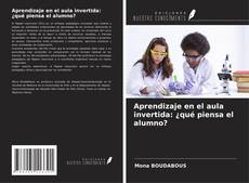 Aprendizaje en el aula invertida: ¿qué piensa el alumno? kitap kapağı