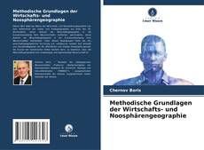 Methodische Grundlagen der Wirtschafts- und Noosphärengeographie kitap kapağı