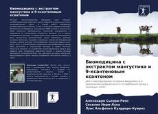 Buchcover von Биомедицина с экстрактом мангустина и 9-ксантеновым ксантоном