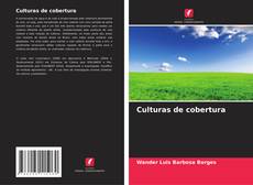 Bookcover of Culturas de cobertura