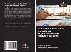 Copertina di Documentazione della conoscenza organizzativa negli istituti a progetto