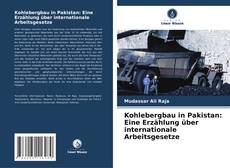 Kohlebergbau in Pakistan: Eine Erzählung über internationale Arbeitsgesetze kitap kapağı