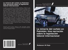 Bookcover of La minería del carbón en Pakistán: Una narración sobre la legislación laboral internacional