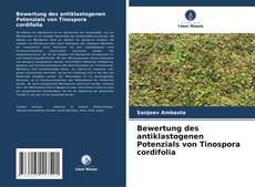 Bewertung des antiklastogenen Potenzials von Tinospora cordifolia kitap kapağı