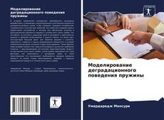 Bookcover of Моделирование деградационного поведения пружины