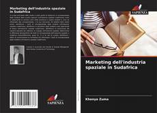 Bookcover of Marketing dell'industria spaziale in Sudafrica