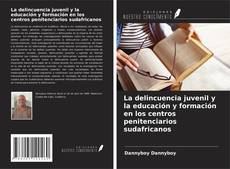 Bookcover of La delincuencia juvenil y la educación y formación en los centros penitenciarios sudafricanos