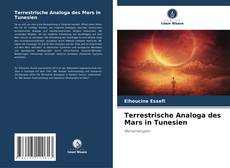 Couverture de Terrestrische Analoga des Mars in Tunesien