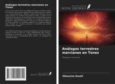 Análogos terrestres marcianos en Túnez kitap kapağı