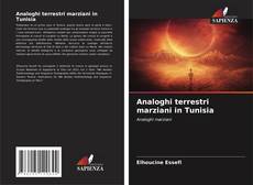 Copertina di Analoghi terrestri marziani in Tunisia