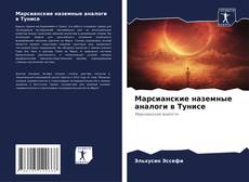 Bookcover of Марсианские наземные аналоги в Тунисе