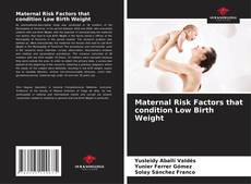 Portada del libro de Maternal Risk Factors that condition Low Birth Weight