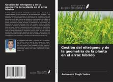 Bookcover of Gestión del nitrógeno y de la geometría de la planta en el arroz híbrido