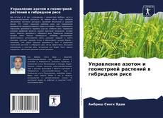 Bookcover of Управление азотом и геометрией растений в гибридном рисе
