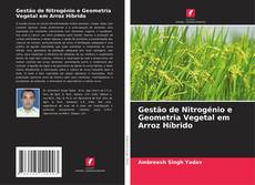 Gestão de Nitrogénio e Geometria Vegetal em Arroz Híbrido的封面