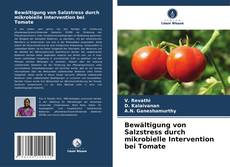 Buchcover von Bewältigung von Salzstress durch mikrobielle Intervention bei Tomate