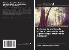 Capa do livro de Sistema de cultivo de arroz y cacahuetes en la agroecología tropical de Camerún 