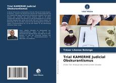Copertina di Trial KAMERHE Judicial Obskurantismus
