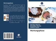 Buchcover von Wartungsphase