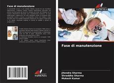 Buchcover von Fase di manutenzione