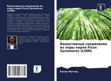 Copertina di Биоактивные соединения из коры корня Ficus Sycomorus (LINN)