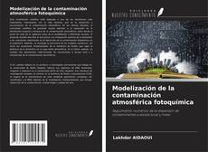 Modelización de la contaminación atmosférica fotoquímica kitap kapağı