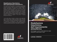 Bookcover of Modellazione fotochimica dell'inquinamento atmosferico