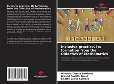 Capa do livro de Inclusive practice. Its formation from the Didactics of Mathematics 