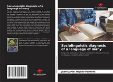 Sociolinguistic diagnosis of a language of many kitap kapağı