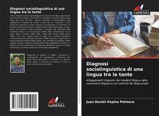 Buchcover von Diagnosi sociolinguistica di una lingua tra le tante