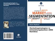 Buchcover von Marketingstrategien in Entwicklungsbanken (DBN Namibia)