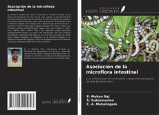 Capa do livro de Asociación de la microflora intestinal 