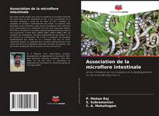 Bookcover of Association de la microflore intestinale