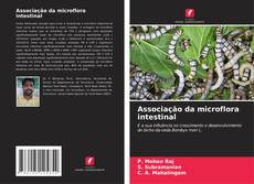 Borítókép a  Associação da microflora intestinal - hoz