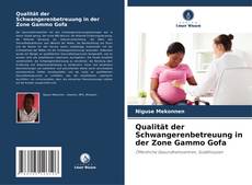 Borítókép a  Qualität der Schwangerenbetreuung in der Zone Gammo Gofa - hoz