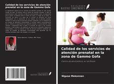 Bookcover of Calidad de los servicios de atención prenatal en la zona de Gammo Gofa