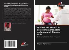 Capa do livro de Qualità dei servizi di assistenza prenatale nella zona di Gammo Gofa 