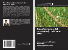 Capa do livro de Transformación del potasio bajo INM en el arroz 