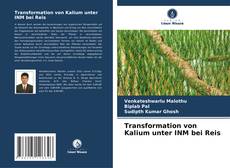 Copertina di Transformation von Kalium unter INM bei Reis