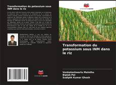 Portada del libro de Transformation du potassium sous INM dans le riz