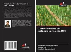 Обложка Trasformazione del potassio in riso con INM