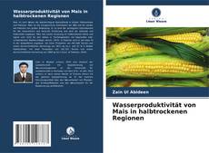 Wasserproduktivität von Mais in halbtrockenen Regionen kitap kapağı