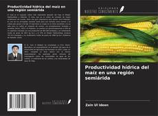 Capa do livro de Productividad hídrica del maíz en una región semiárida 