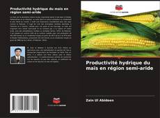Portada del libro de Productivité hydrique du maïs en région semi-aride