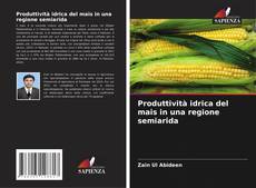 Обложка Produttività idrica del mais in una regione semiarida