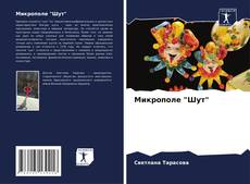 Portada del libro de Микрополе "Шут"